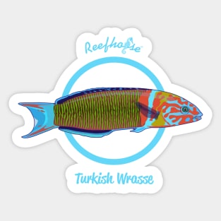 Turkish Wrasse Sticker